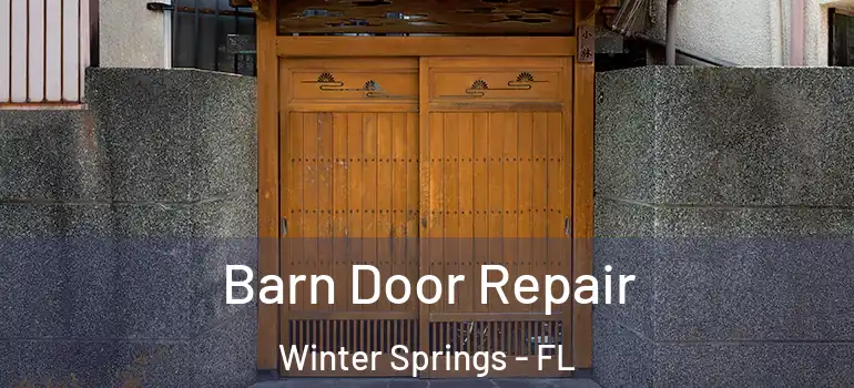  Barn Door Repair Winter Springs - FL