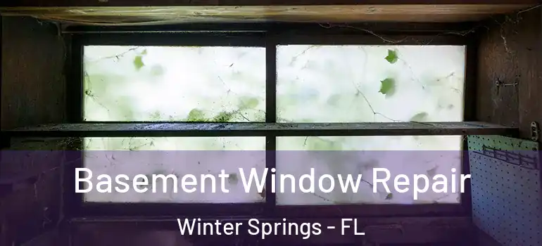  Basement Window Repair Winter Springs - FL