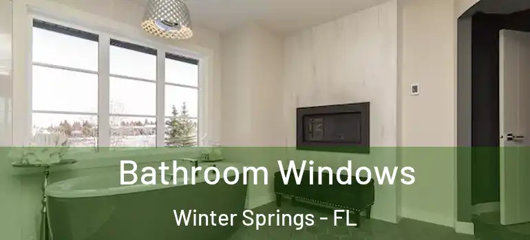  Bathroom Windows Winter Springs - FL