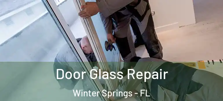  Door Glass Repair Winter Springs - FL