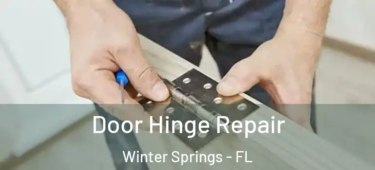  Door Hinge Repair Winter Springs - FL