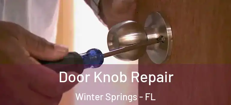  Door Knob Repair Winter Springs - FL