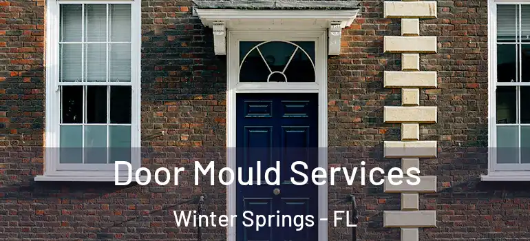  Door Mould Services Winter Springs - FL