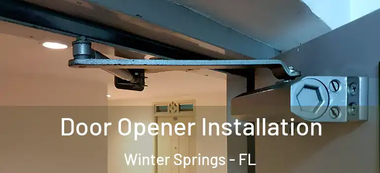  Door Opener Installation Winter Springs - FL