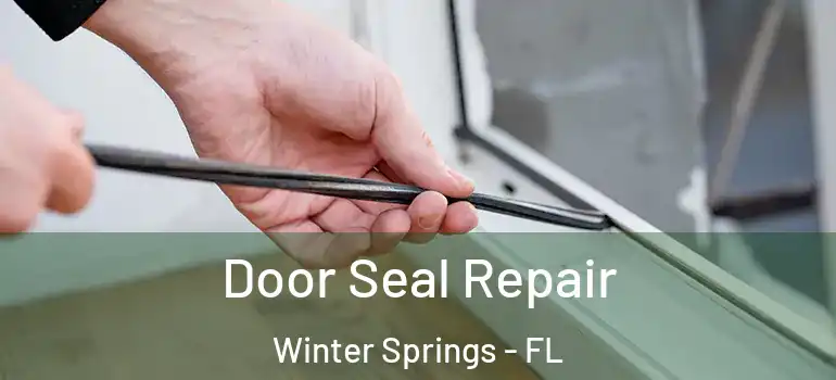  Door Seal Repair Winter Springs - FL