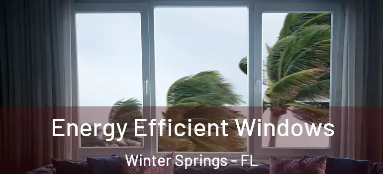  Energy Efficient Windows Winter Springs - FL