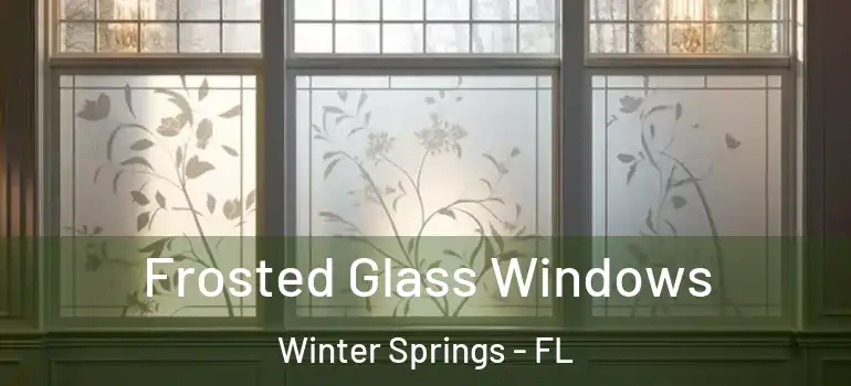  Frosted Glass Windows Winter Springs - FL