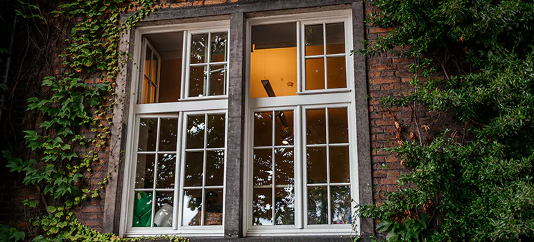 Energy Efficient Wood Windows in Winter Springs, FL