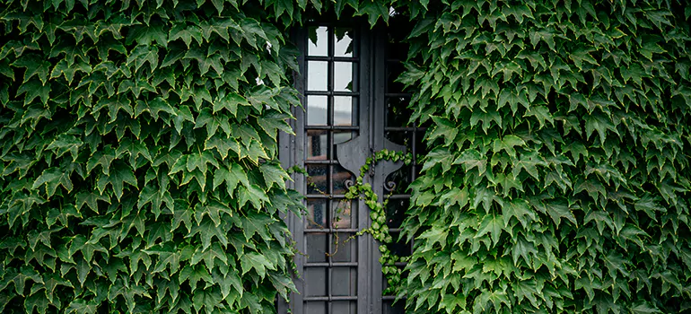 Garden Gate Repair in Winter Springs, FL