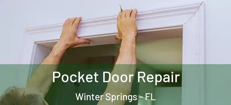  Pocket Door Repair Winter Springs - FL