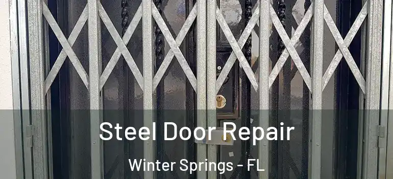  Steel Door Repair Winter Springs - FL
