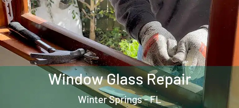  Window Glass Repair Winter Springs - FL