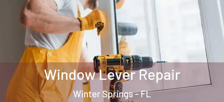  Window Lever Repair Winter Springs - FL