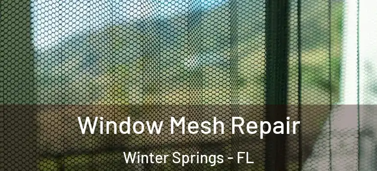  Window Mesh Repair Winter Springs - FL
