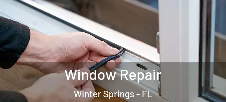  Window Repair Winter Springs - FL