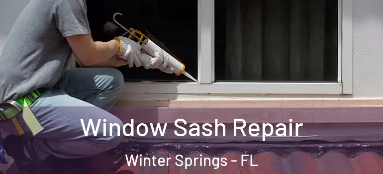  Window Sash Repair Winter Springs - FL