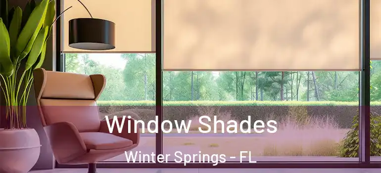  Window Shades Winter Springs - FL
