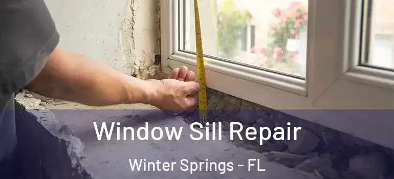  Window Sill Repair Winter Springs - FL