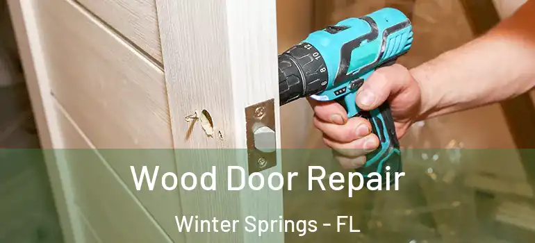  Wood Door Repair Winter Springs - FL